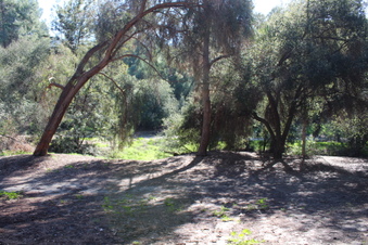 Enlarge photo 42