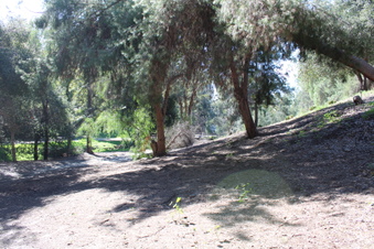 Enlarge photo 44