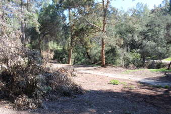 Enlarge photo 45