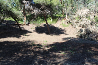 Enlarge photo 46