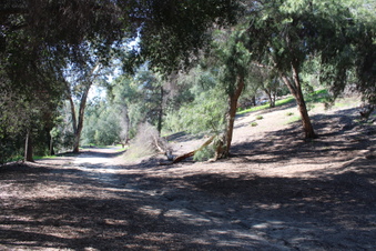 Enlarge photo 47