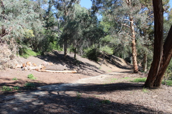 Enlarge photo 48