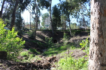 Enlarge photo 51