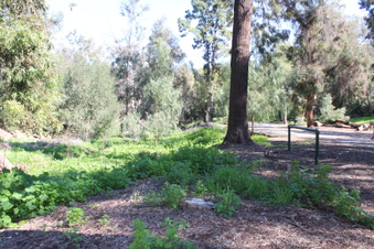 Enlarge photo 52
