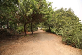 Enlarge photo 7