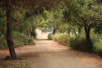 Enlarge photo 8