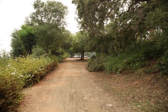 Enlarge photo 9