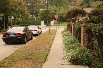 Enlarge photo 12