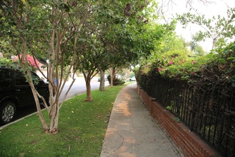 Enlarge photo 15
