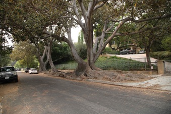Enlarge photo 20