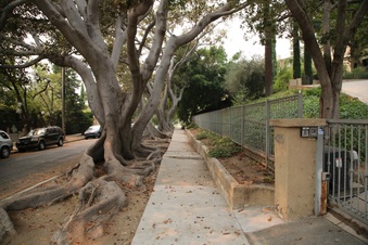 Enlarge photo 22