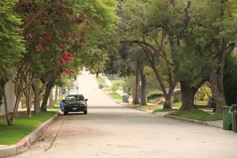Enlarge photo 24