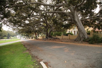 Enlarge photo 2