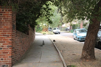 Enlarge photo 9