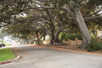 Enlarge photo 14