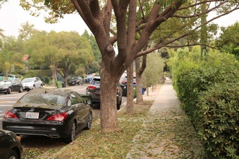 Enlarge photo 10