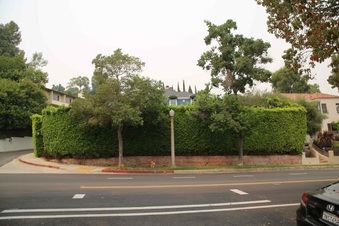 Enlarge photo 11