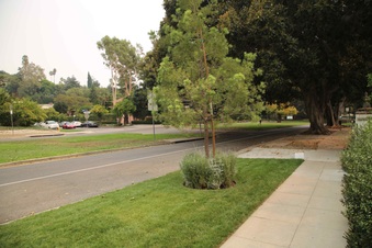 Enlarge photo 21