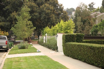Enlarge photo 26