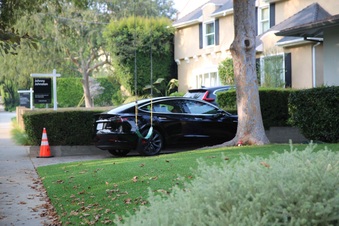 Enlarge photo 6