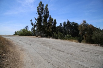 Cedar Grove, Griffith Park