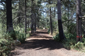 Enlarge photo 4