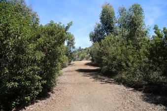 Enlarge photo 5