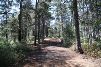 Enlarge photo 6