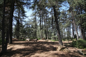Enlarge photo 8