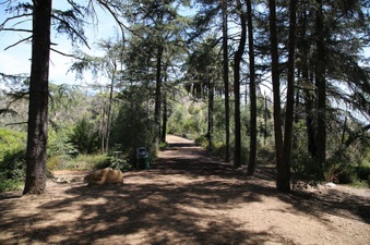 Enlarge photo 9