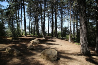 Enlarge photo 13