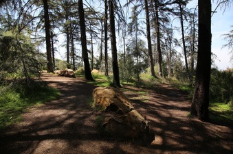 Enlarge photo 14
