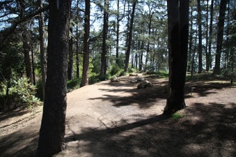 Enlarge photo 15