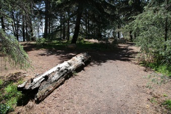 Enlarge photo 17