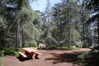 Enlarge photo 18