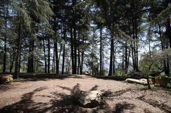 Enlarge photo 19