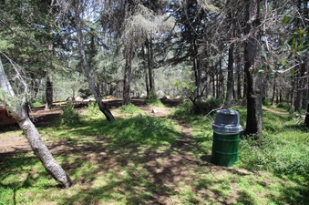 Enlarge photo 20