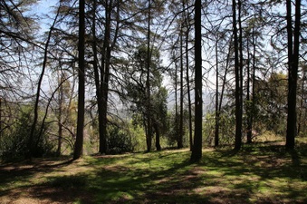 Enlarge photo 22