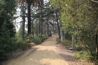 Enlarge photo 2