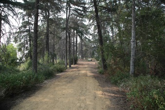 Enlarge photo 3