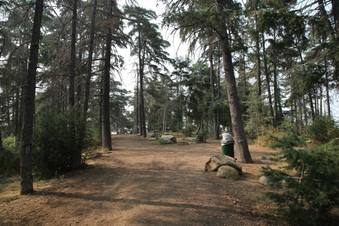 Enlarge photo 4