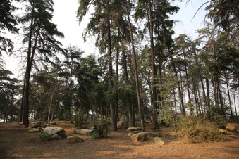 Enlarge photo 5