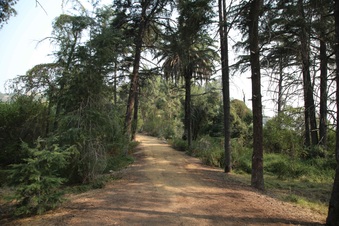 Enlarge photo 6