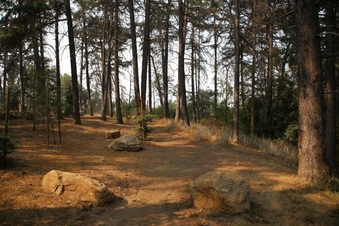Enlarge photo 9