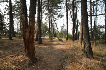 Enlarge photo 10