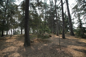 Enlarge photo 11