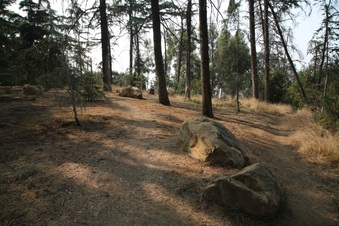 Enlarge photo 12