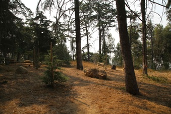 Enlarge photo 13