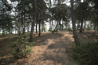 Enlarge photo 15