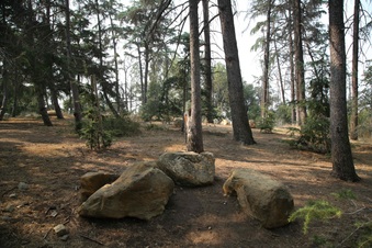 Enlarge photo 17